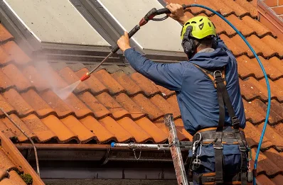Démoussage et hydrofuge de toiture à Geney